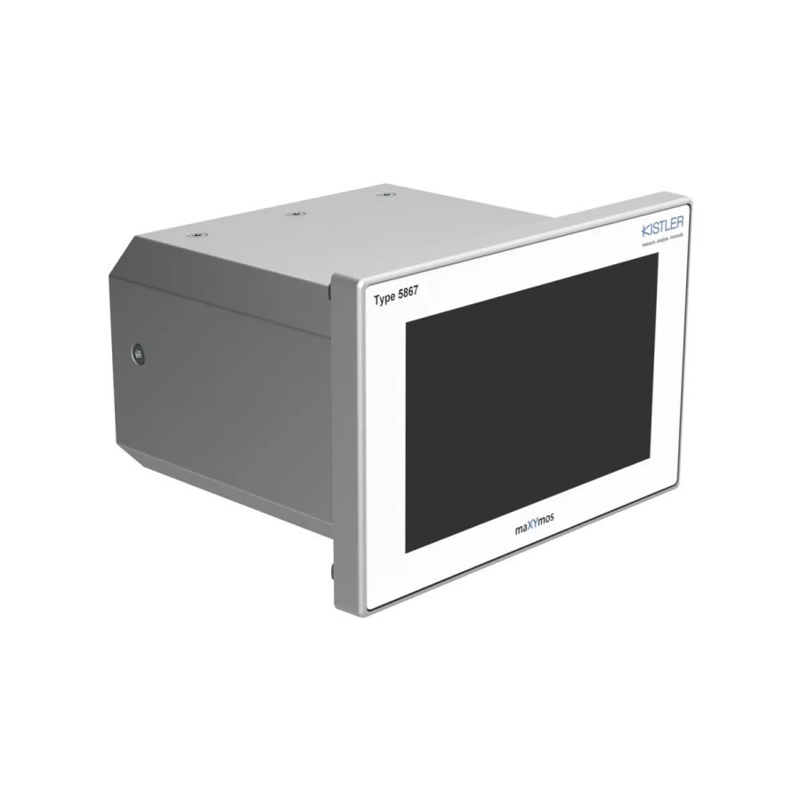 Bộ giám sát maXYmos BL, Type 5867C